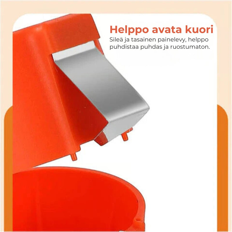 đ Kananmunan rikkoja