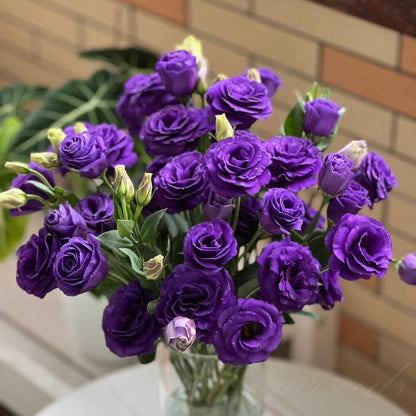 Eustoman siemenet (100 kpl) 💐 Lisianthus