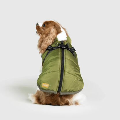 DoggyKings™ 3-in-1 koiran takki