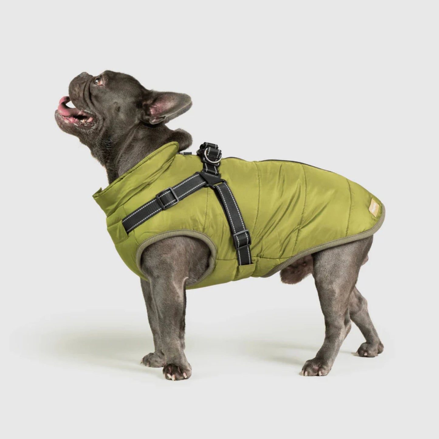 DoggyKings™ 3-in-1 koiran takki