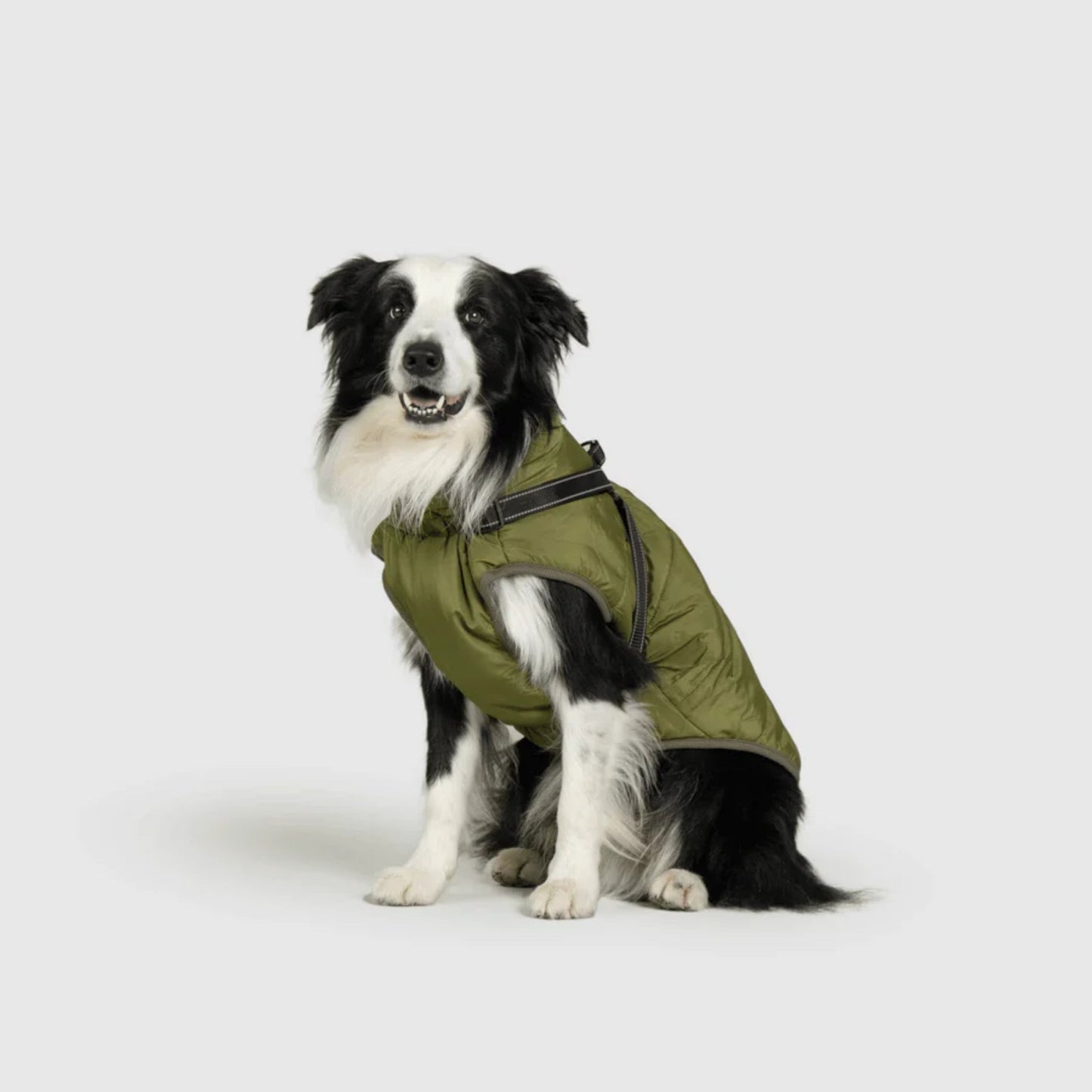 DoggyKings™ 3-in-1 koiran takki