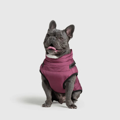 DoggyKings™ 3-in-1 koiran takki