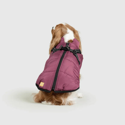 DoggyKings™ 3-in-1 koiran takki