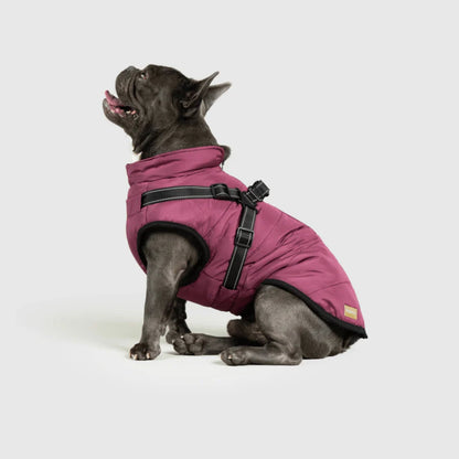 DoggyKings™ 3-in-1 koiran takki