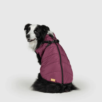 DoggyKings™ 3-in-1 koiran takki