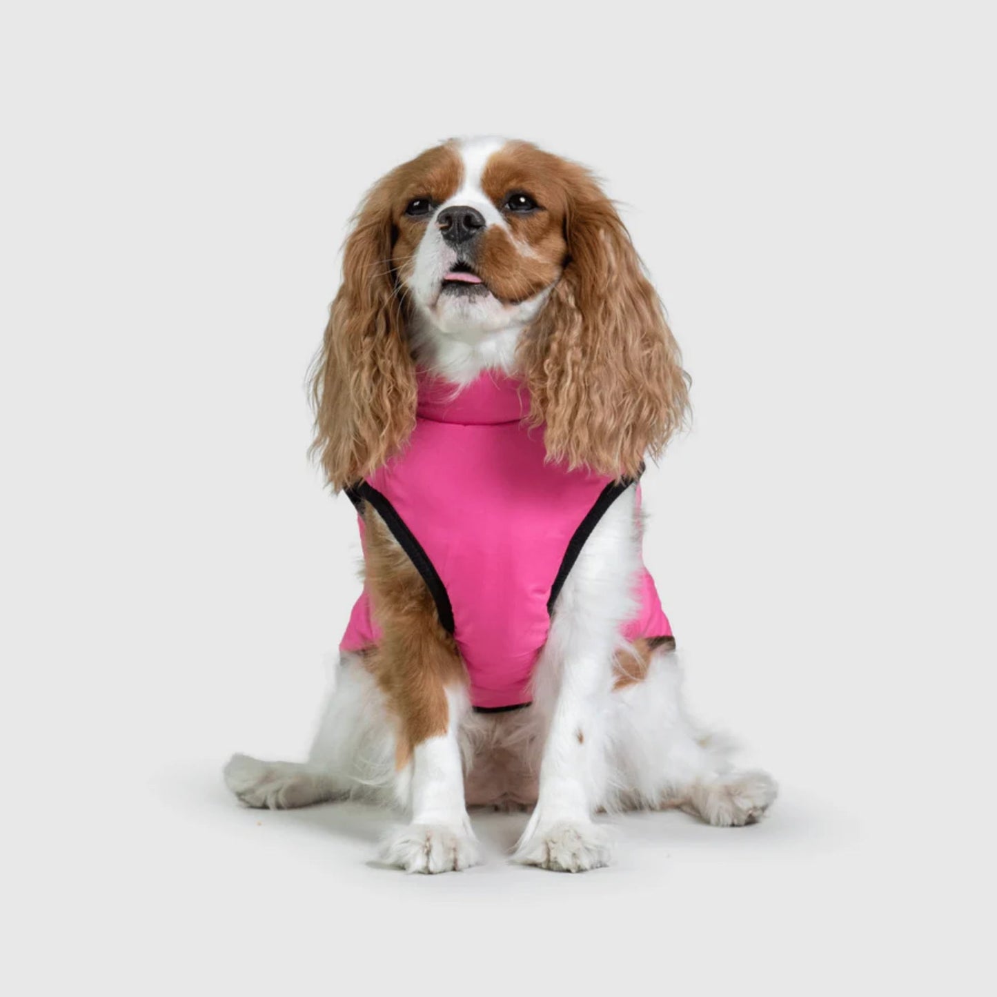 DoggyKings™ 3-in-1 koiran takki