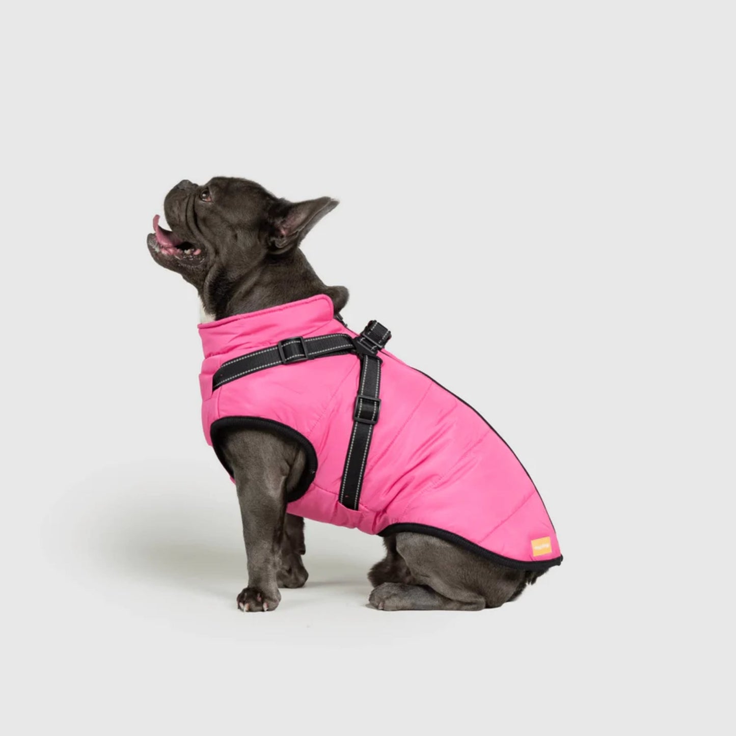 DoggyKings™ 3-in-1 koiran takki