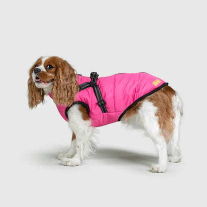 DoggyKings™ 3-in-1 koiran takki