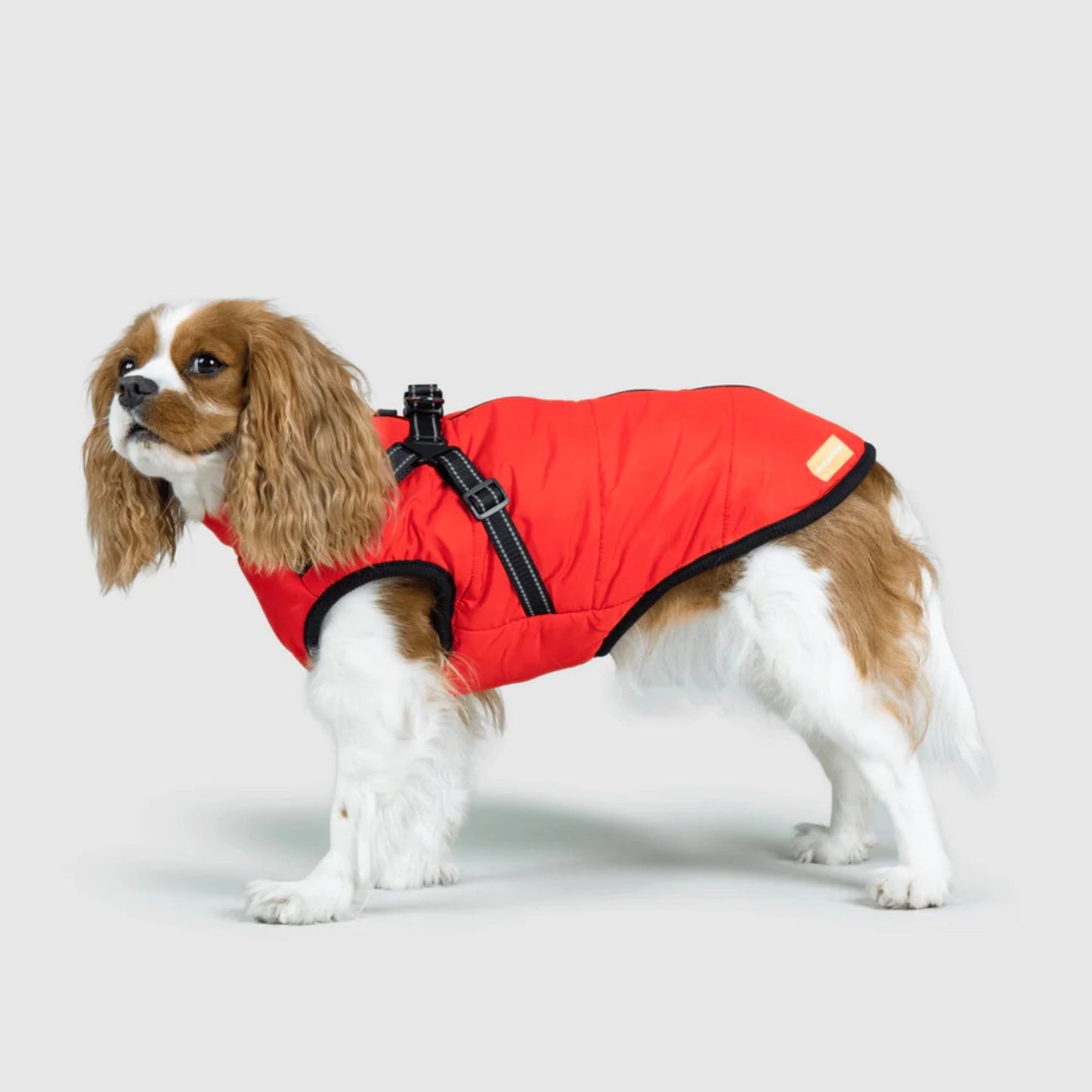DoggyKings™ 3-in-1 koiran takki