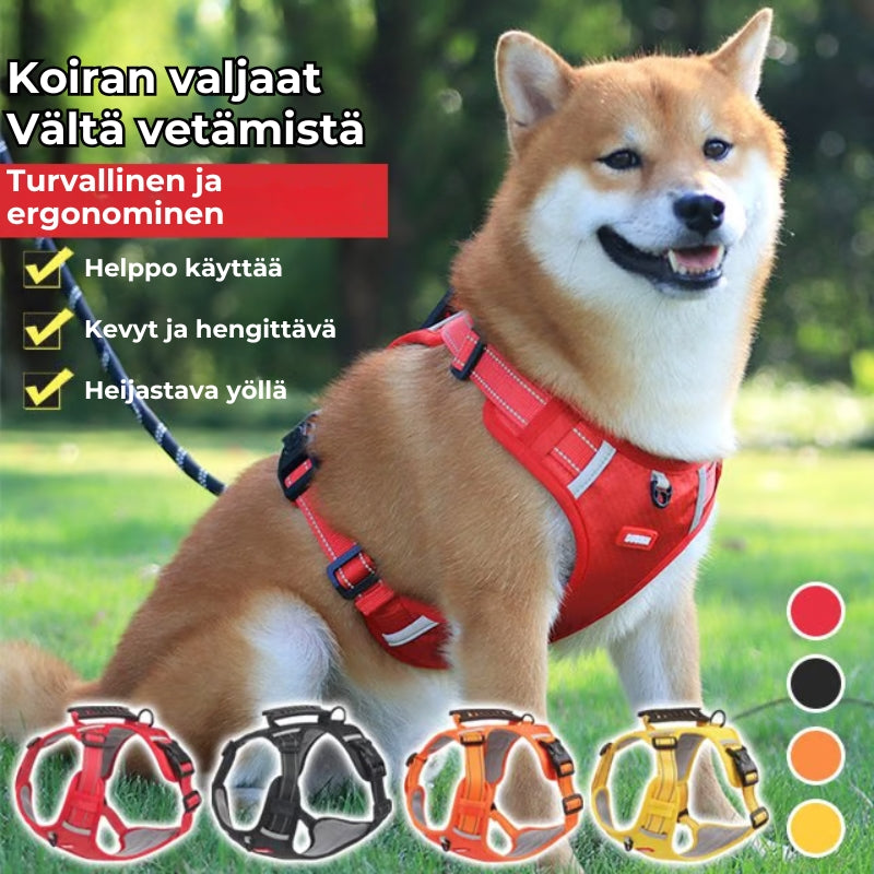 Vedonestovaljaat koiralle