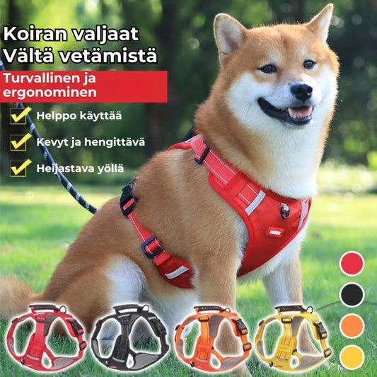 Vedonestovaljaat koiralle