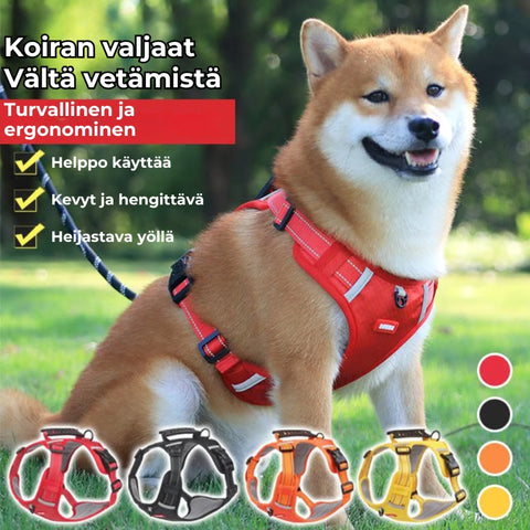 Vedonestovaljaat koiralle