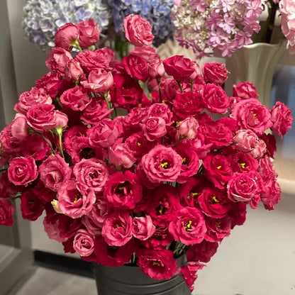 Eustoman siemenet (100 kpl) 💐 Lisianthus