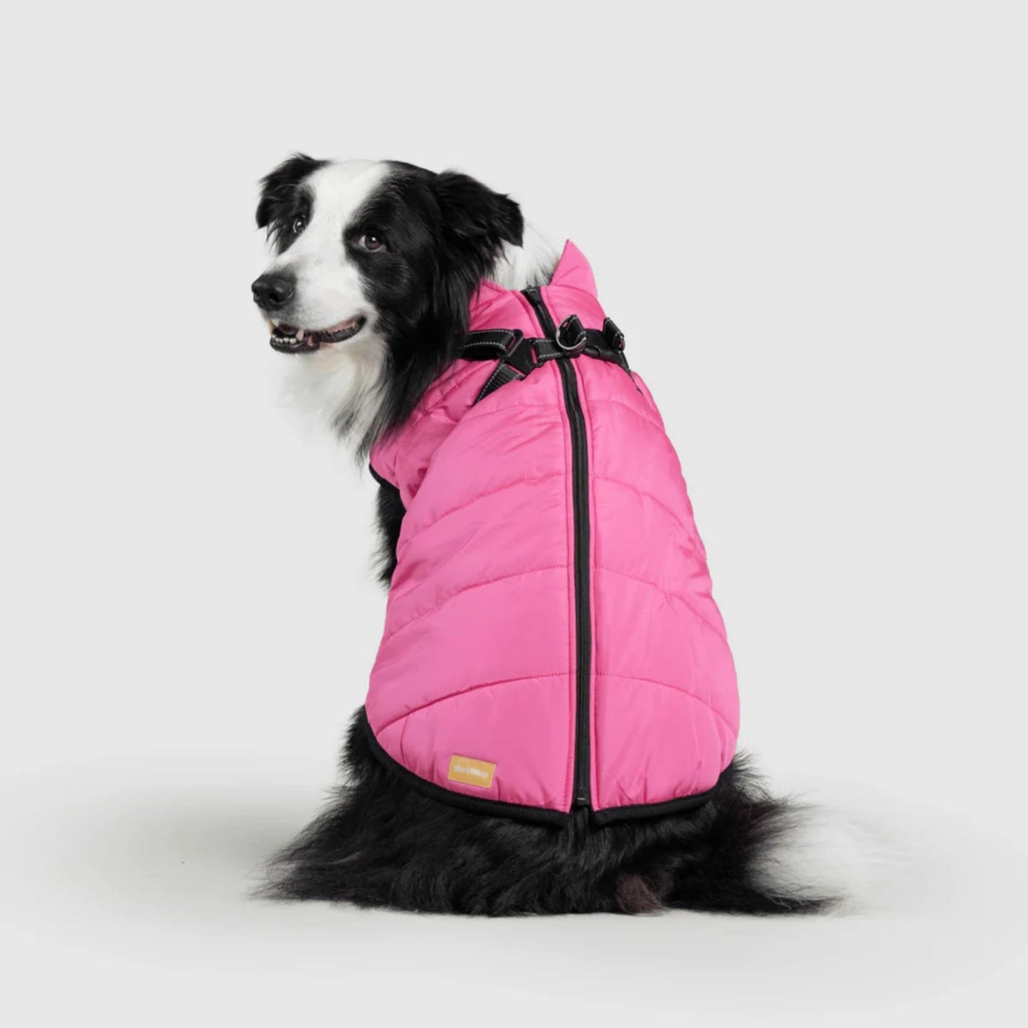 DoggyKings™ 3-in-1 koiran takki