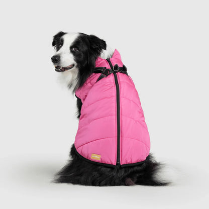 DoggyKings™ 3-in-1 koiran takki