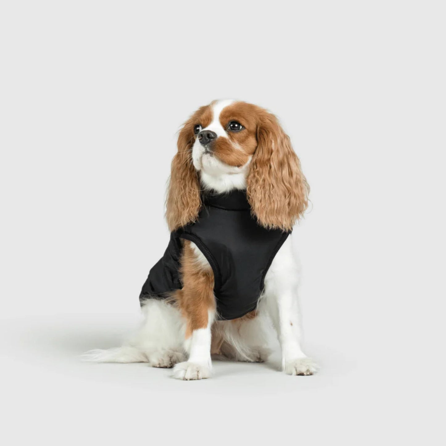 DoggyKings™ 3-in-1 koiran takki