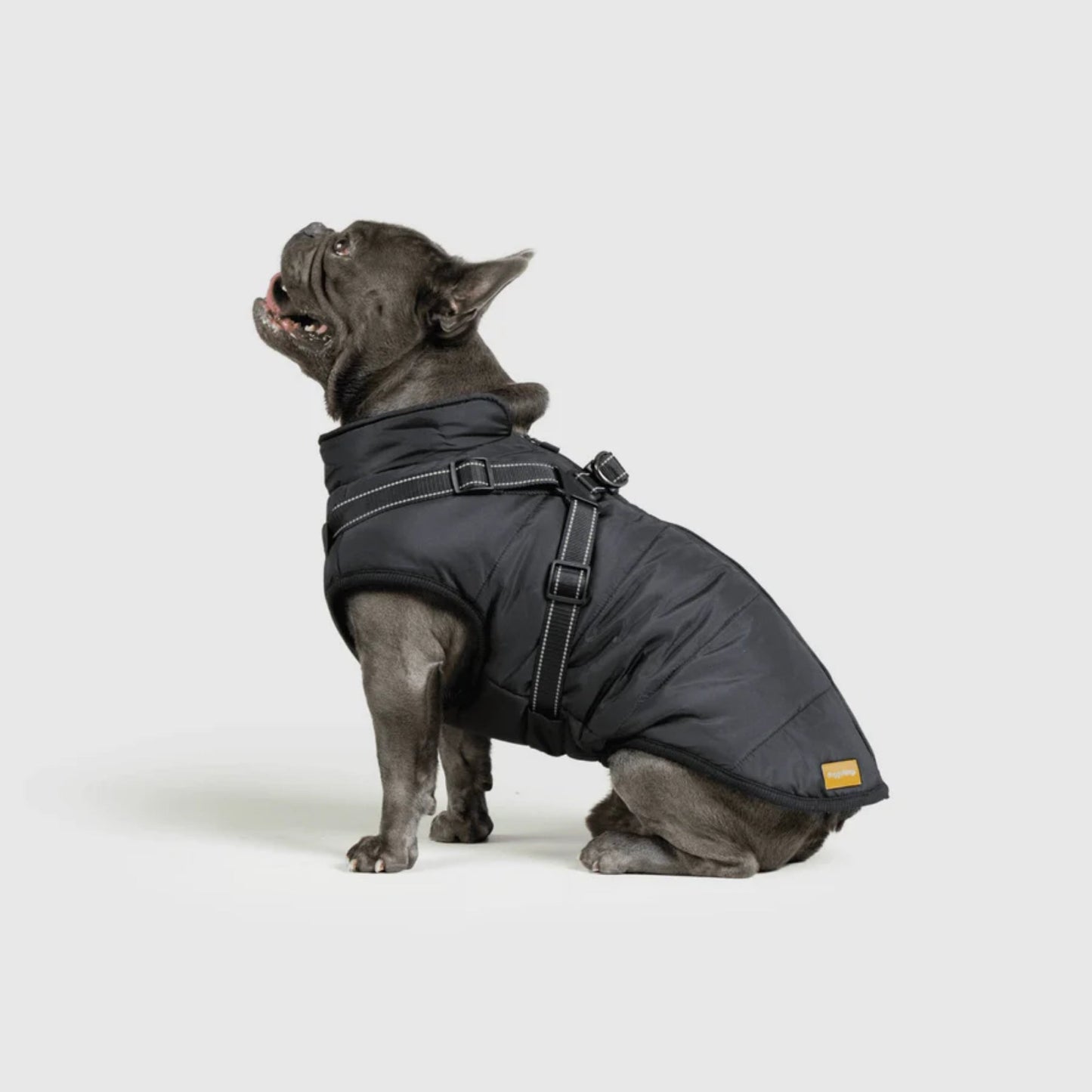 DoggyKings™ 3-in-1 koiran takki