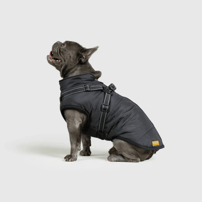 DoggyKings™ 3-in-1 koiran takki