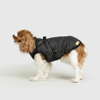 DoggyKings™ 3-in-1 koiran takki