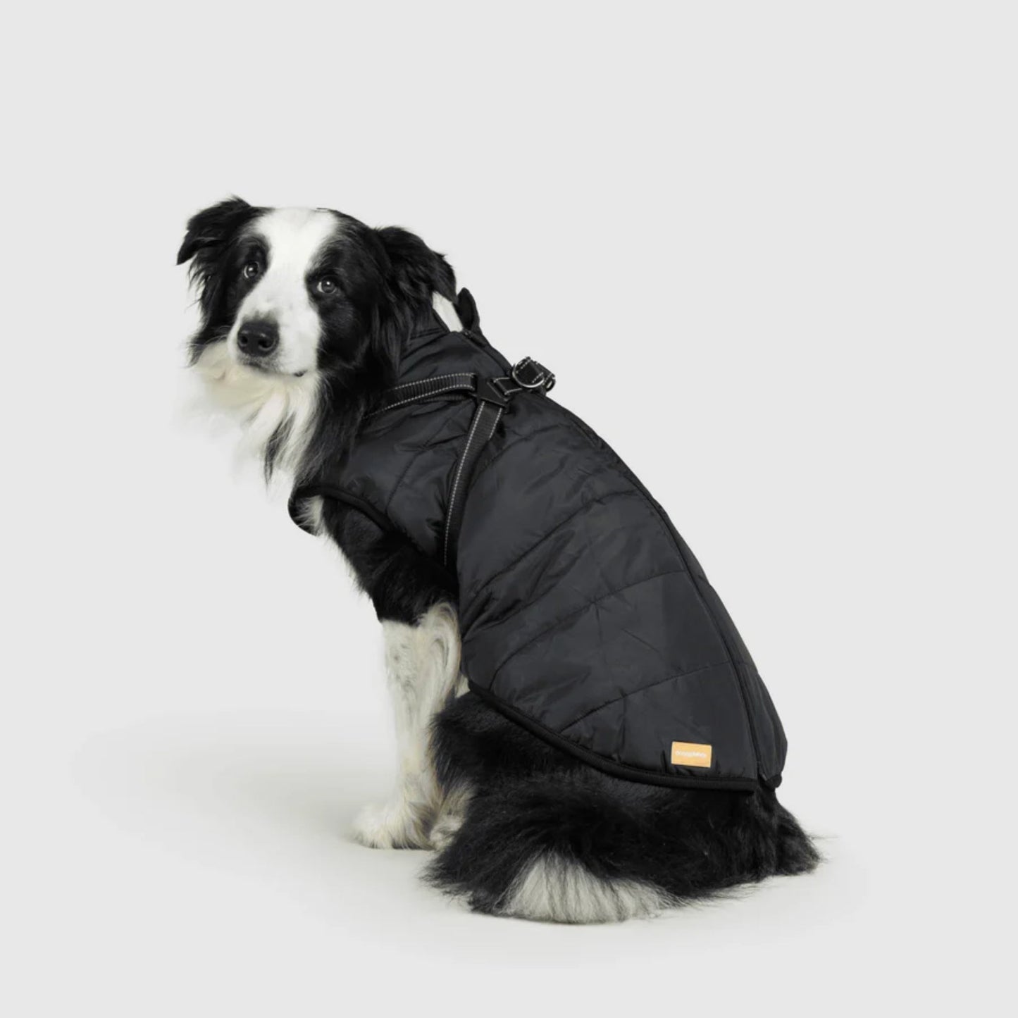 DoggyKings™ 3-in-1 koiran takki