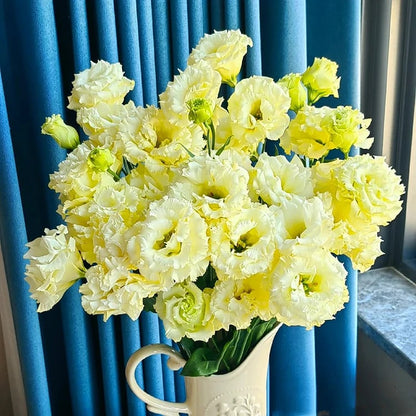 Eustoman siemenet (100 kpl) 💐 Lisianthus