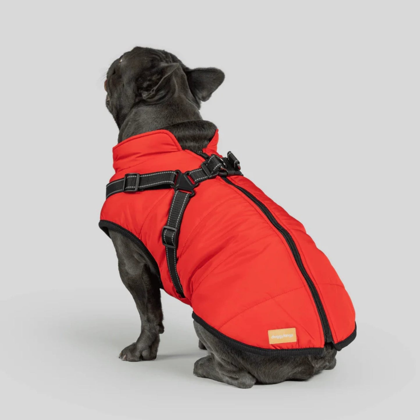 DoggyKings™ 3-in-1 koiran takki
