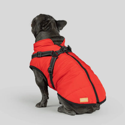 DoggyKings™ 3-in-1 koiran takki