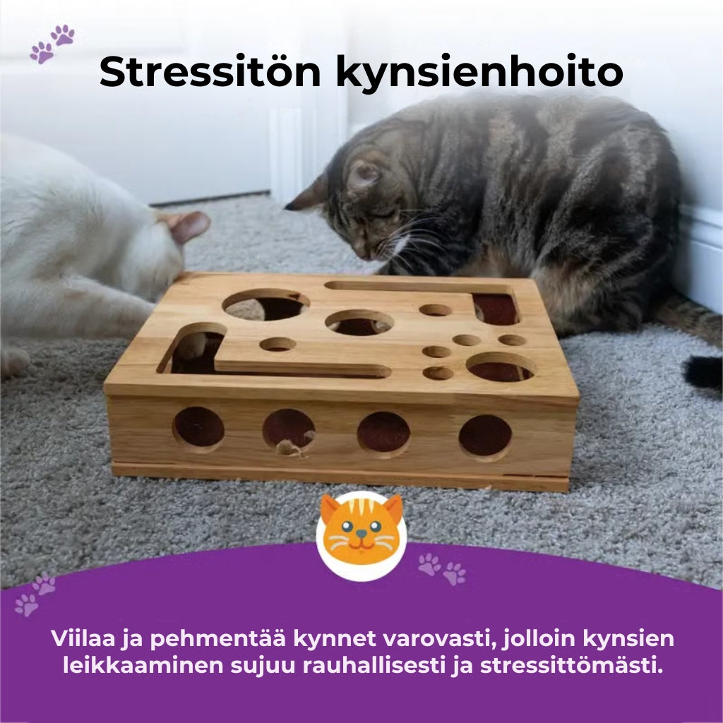 😻 Kissan raapimis- ja aktivointilelu – stressitön vaihtoehto kynsien leikkaamiseen