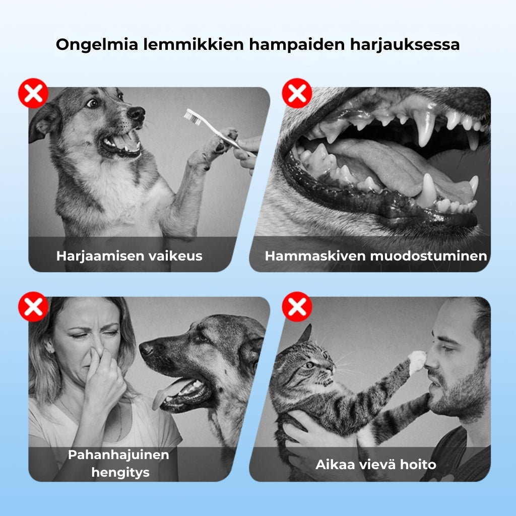 Hammashoitosuihke lemmikeille