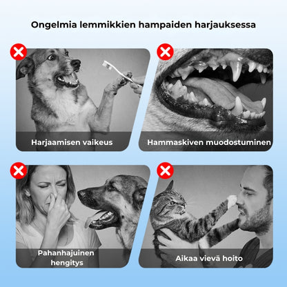 Hammashoitosuihke lemmikeille