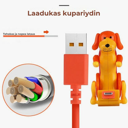 Hauska koira -pikalatauskaapeli