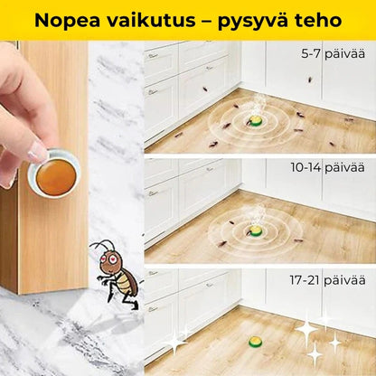 Torakoiden syöttiasemat (8kpl)