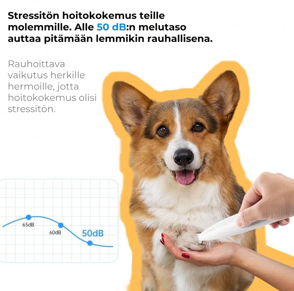 Ammattimainen lemmikkitrimmeri