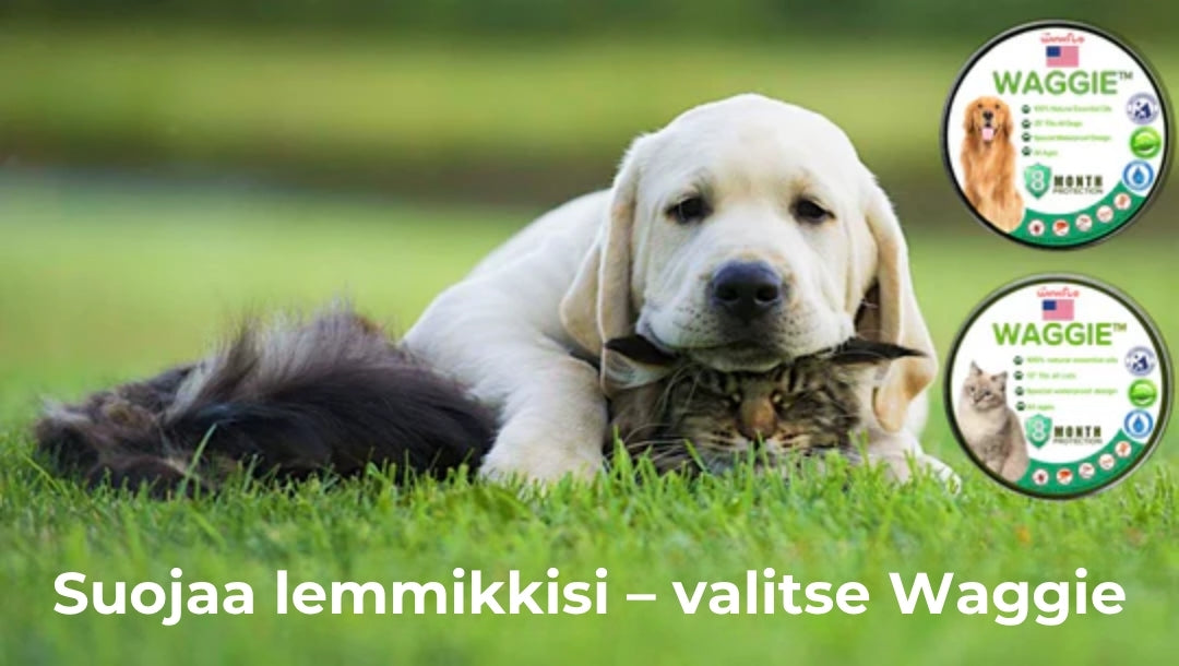 Luonnollinen kirppu- ja punkkipanta – Waggie™