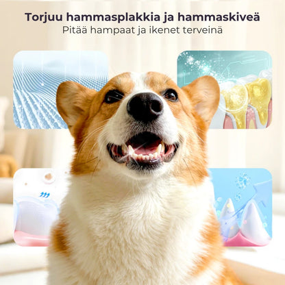 Hampaidenhoitosuihke lemmikeille