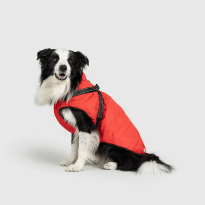 DoggyKings™ 3-in-1 koiran takki