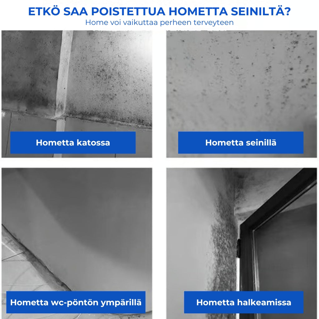 Nopeavaikutteinen homeenpoistospray seinille ja saumoihin