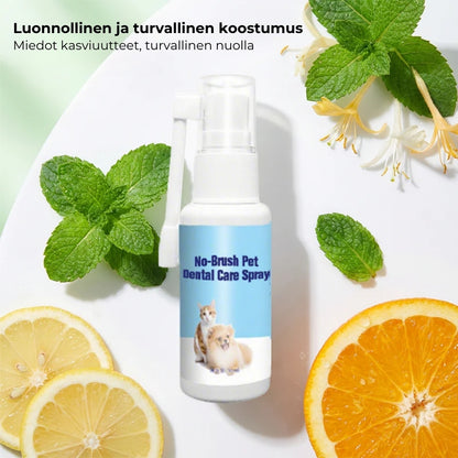 Hammashoitosuihke lemmikeille