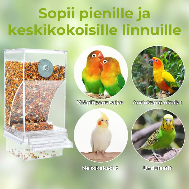 🔥 Lintujen ruokinta-automaatti