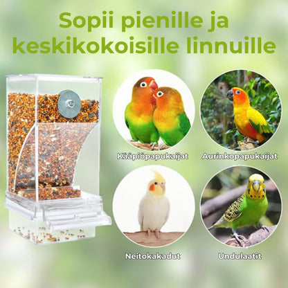 🔥 Lintujen ruokinta-automaatti