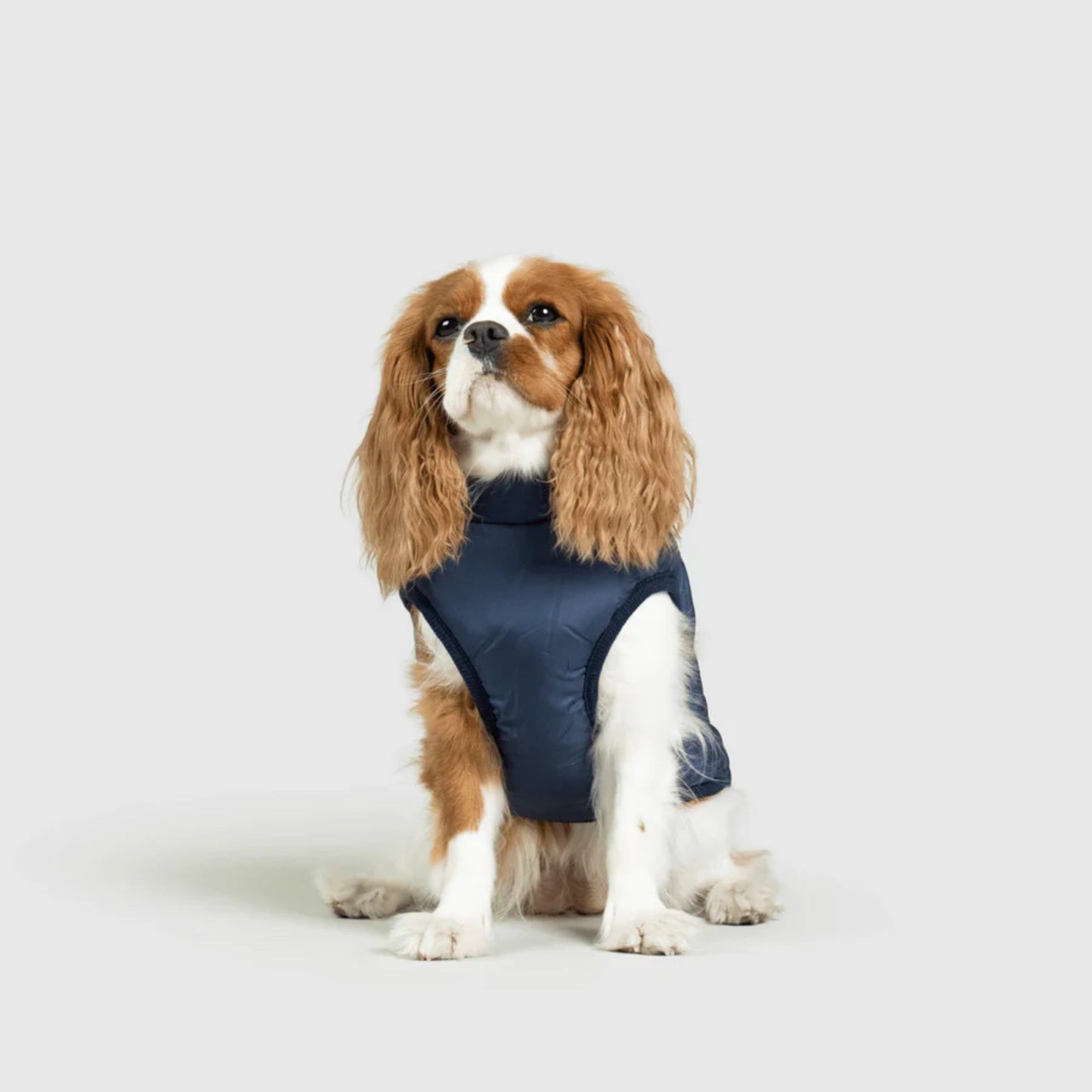 DoggyKings™ 3-in-1 koiran takki