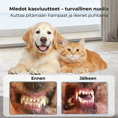 Hammashoitosuihke lemmikeille