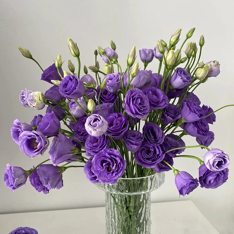 Eustoman siemenet (100 kpl) 💐 Lisianthus