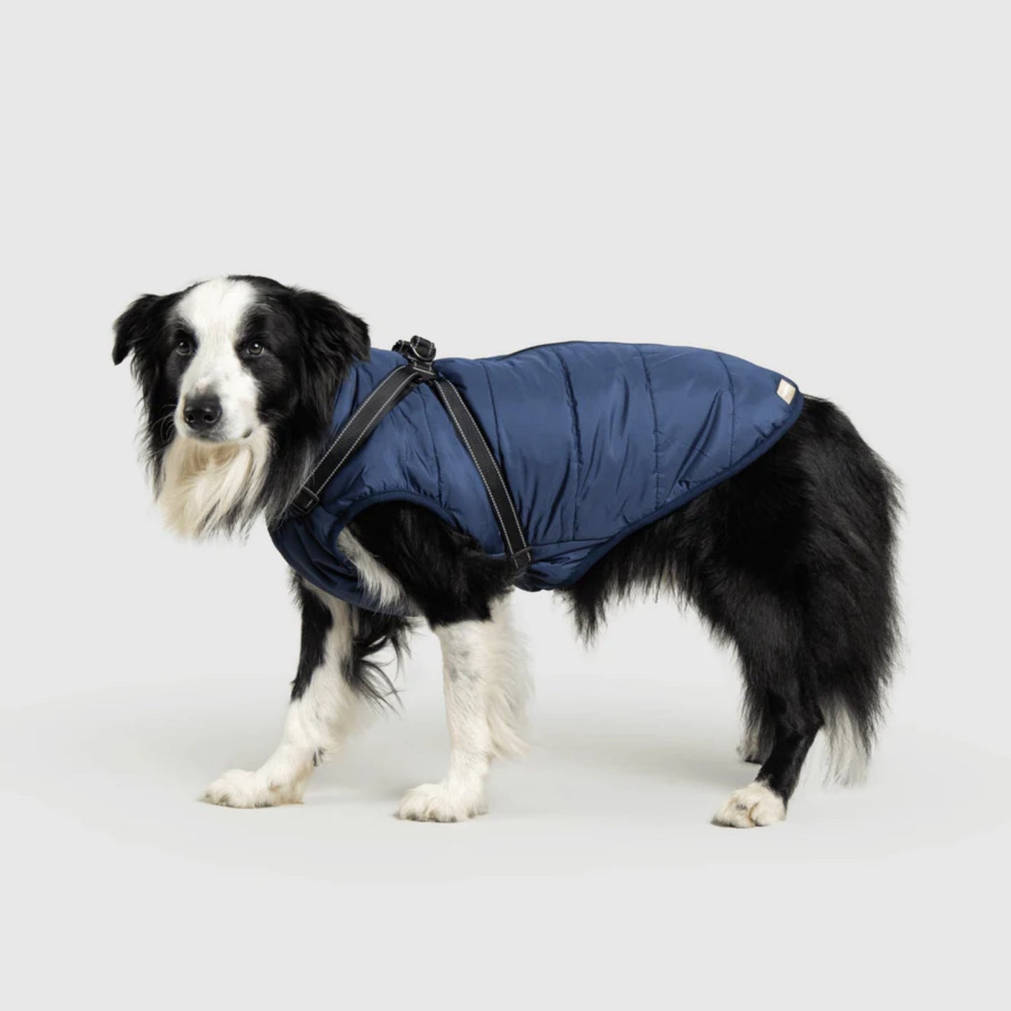 DoggyKings™ 3-in-1 koiran takki