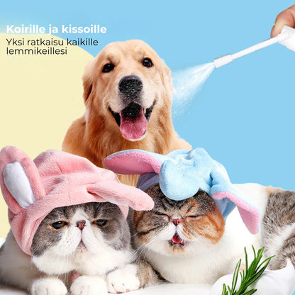 Hammashoitosuihke lemmikeille