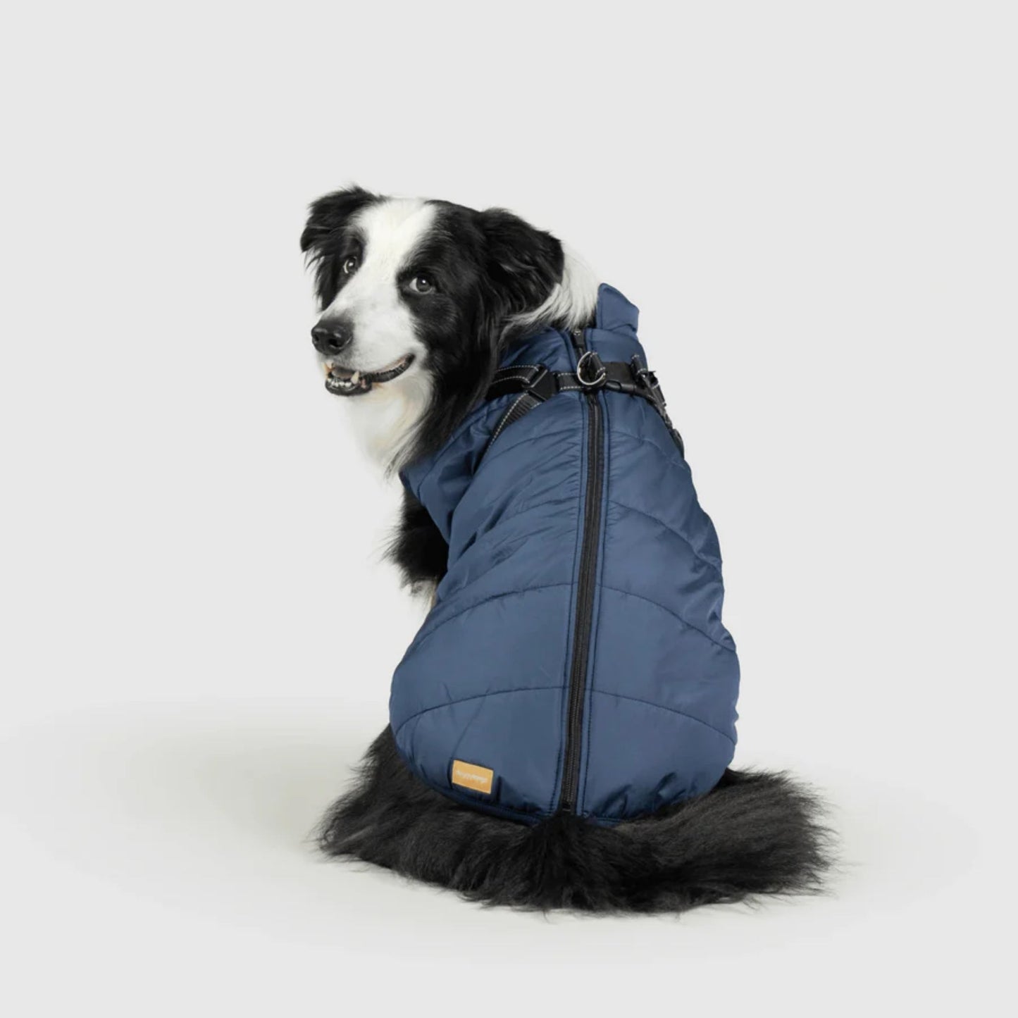DoggyKings™ 3-in-1 koiran takki