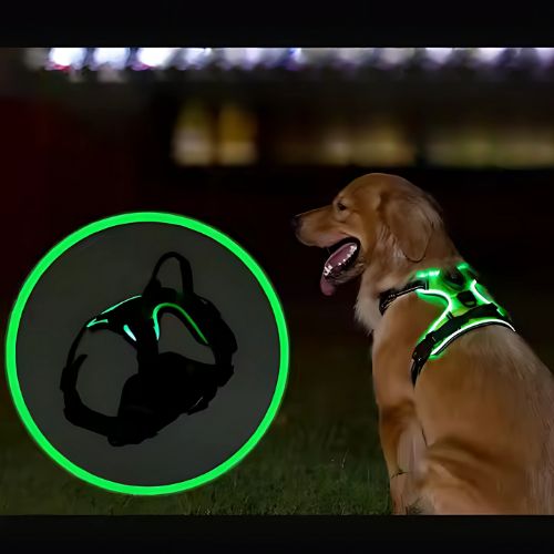 PawGear LED -valovaljaat – Heijastavat ja valaisevat koiranvaljaat