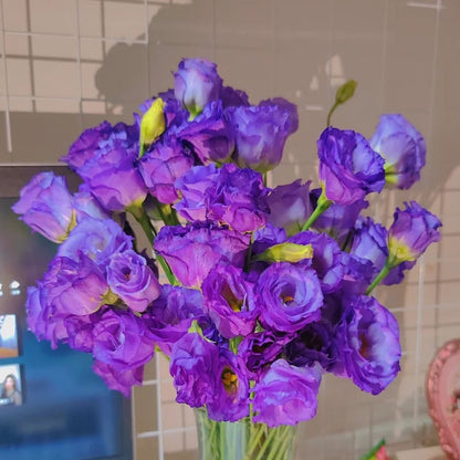 Eustoman siemenet (100 kpl) 💐 Lisianthus