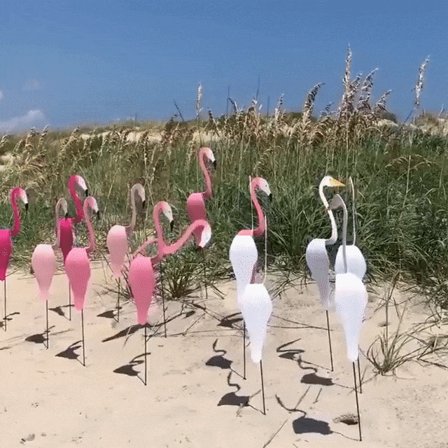🦩 Liikkuva flamingokoriste