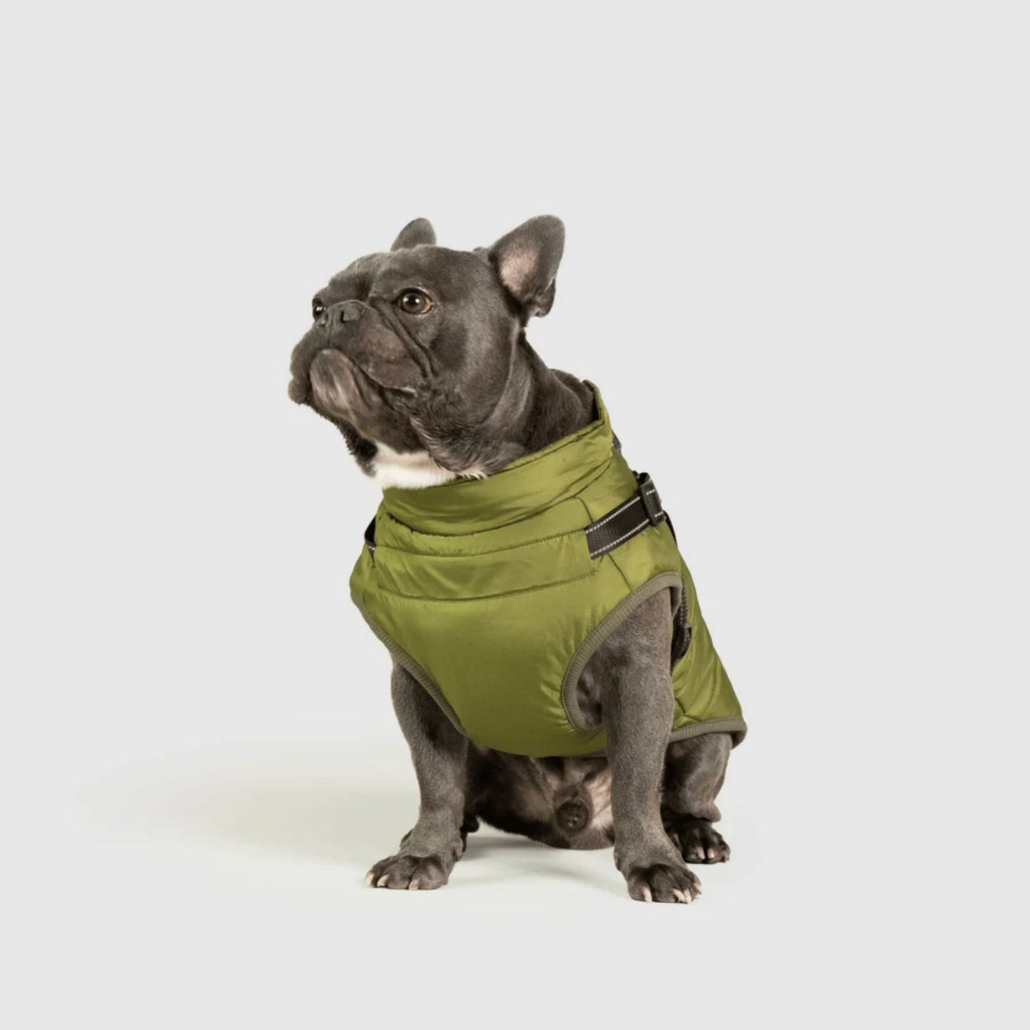 DoggyKings™ 3-in-1 koiran takki